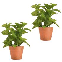 Product Mint in Pot Artificial Herbs Artificial Plants 18cm 2pcs