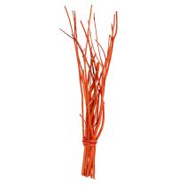 Mitsumata branches orange 34-60cm 12pcs