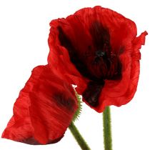 Product Poppy red 58cm - 74cm 3 pcs