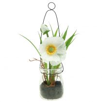 Product Poppy in a glass to hang white H22cm