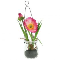 Product Poppy in a glass to hang pink H22cm