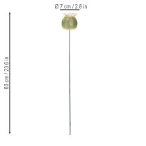 Product Poppy seed pod garden stake decorations for charming garden arrangements 60cm 2pcs