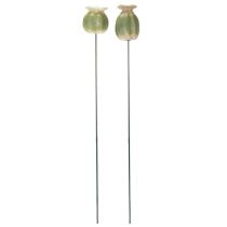 Product Poppy seed pod garden stake decorations for charming garden arrangements 60cm 2pcs