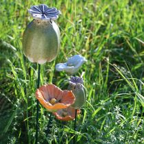 Product Poppy seed pod garden stake decorations for charming garden arrangements 60cm 2pcs