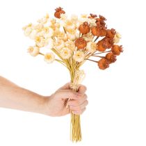Product Dried artificial poppy seed pods, bunch of three colors, 40cm, 45 pieces
