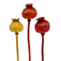 Product Poppy heads 3 colors sorted 100 pcs