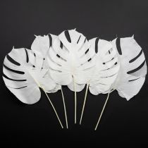 Product Monstera leaves bleached decorative window leaf H40cm 5 pcs