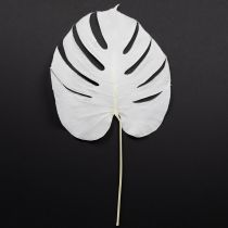 Product Monstera leaves bleached decorative window leaf H40cm 5 pcs