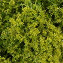 Product Artificial moss wreath, decorative for table or door, 28cm