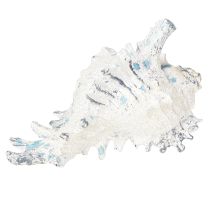 Product Shell Decoration Sea Snail Artificial Blue-White 11.5/13cm 2 Pcs