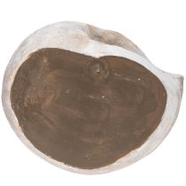 Product Decorative snail-shaped container for maritime and natural wall design, grey, 21cm