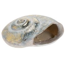 Product Decorative snail-shaped container for maritime and natural wall design, grey, 21cm