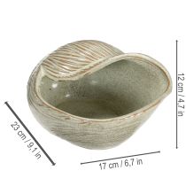 Product Ceramic bowl with seashell design for elegant decoration in the living room, 23cm