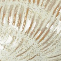 Product Ceramic bowl with seashell design for elegant decoration in the living room, 23cm