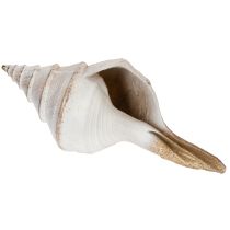 Product Decorative seashell shape for stylish maritime decoration, 44cm