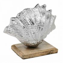 Shell to set up, maritime metal decoration with wooden base silver, natural 16 × 19cm