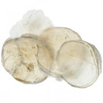 Product Beach decoration, capiz shells 5-10cm, natural items, mother-of-pearl, maritime 1kg