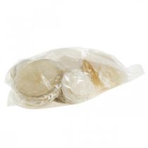 Product Beach decoration, capiz shells 5-10cm, natural items, mother-of-pearl, maritime 1kg
