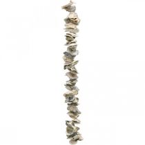 Shell garland, summer decoration, shells on a ribbon, sea decoration natural colors L60cm