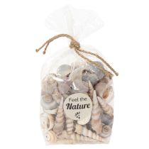 Product Shells and snails Natural maritime decorative items for stylish interior design 500g