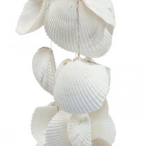 Shell garland Maritime decoration shell garland L87cm