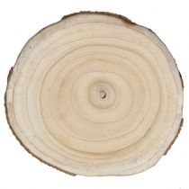 Product Tree slice, bluebell tree, natural, Ø30-35cm, DIY wood slice, Paulownia