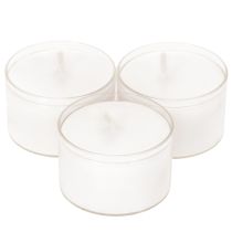 Product Nightlights Tealights White in Plastic Tray 8 Hours 50 Pieces