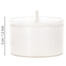 Product Nightlights Tealights White in Plastic Tray 8 Hours 50 Pieces