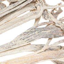 Product Natraj Exotic dried branches White Washed wood 10pcs