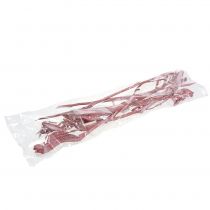 Product Natraj Decorative dried branches Red White washed 10 pcs