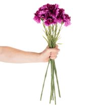 Product Artificial carnation, two-tone, long stem 56cm, bunch of 8