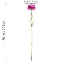 Product Artificial carnation, two-tone, long stem 56cm, bunch of 8