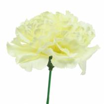 Product Carnation flower white Ø9cm 12pcs
