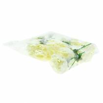 Product Carnation blossom white Ø9cm 12pcs