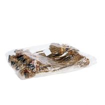 Product Nerifolia Bud 25 Pcs