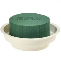 Product OASIS® Junior Complete 12 pcs