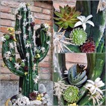 Product Floral foam cactus figure, black, 38cm x 74cm