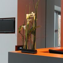 OASIS® Black Table Deco Medi Floral Foam 4pcs