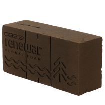 Product Oasis Renewal Floral Foam 23cm 1 Brick