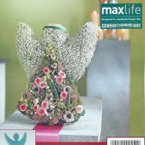 Floral foam angel with stand-up dimensions 45cm x 34cm