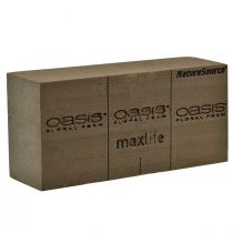 Oasis NatureSource Maxlife Floral Foam Brick Brown 23×11×7.5cm 1pc