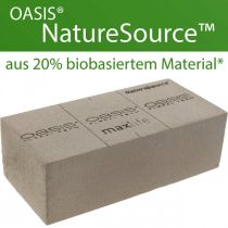 OASIS® NatureSource brick floral foam 23cm×11cm×7cm 10 pieces