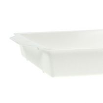 OASIS® socket tray white 23cm x 11.5cm x 2.5cm 5 pieces