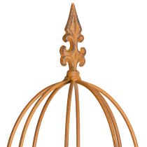 Product Garden trellis, climbing aid for roses and other climbing plants, ideal garden design, 108cm, set of 2.
