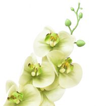Product Orchid Artificial Yellow Green Phalaenopsis L83cm