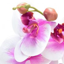 Product Orchid Artificial Phalaenopsis 4 Flowers White Pink 72cm