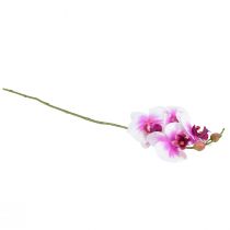 Product Orchid Artificial Phalaenopsis 4 Flowers White Pink 72cm