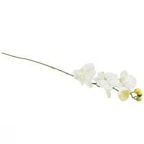 Product Orchid Phalaenopsis artificial 6 flowers white cream 70cm
