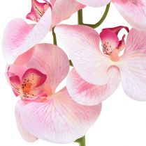 Product Orchid Phalaenopsis artificial 9 flowers pink white 96cm