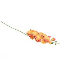 Product Orchid Phalaenopsis artificial 9 flowers red yellow 96cm